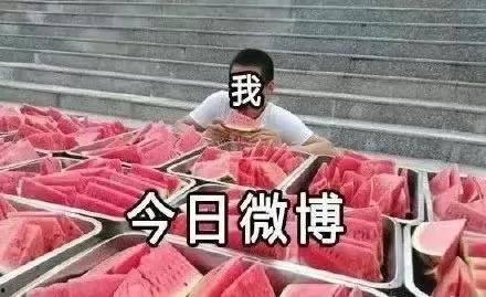 吃瓜办后事,揭秘娱乐圈幕后故事