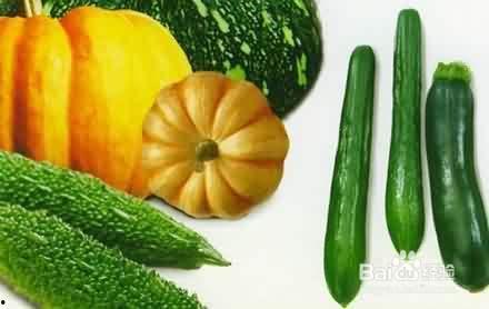 瓜地吃瓜日常,一场与自然的亲密对话