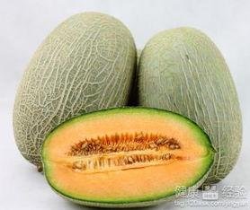 庙龟吃哈密瓜,一场奇妙的味蕾之旅