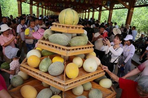 798吃哈密的瓜,哈密瓜美食之旅