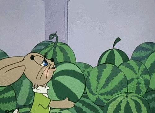 梦见给别人买瓜吃,揭秘买瓜吃梦的寓意与启示