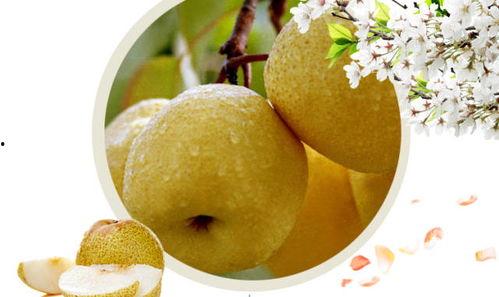 减肥期间吃酥瓜好吗,酥瓜——美味与健康的双重选择？