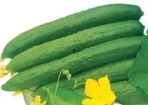 夏天吃的三瓜是哪三瓜,“西瓜、黄瓜、苦瓜”三瓜养生攻略