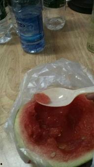 仓鼠可以吃白玉瓜吗,白玉瓜的适宜性解析