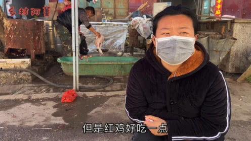 乡村阿董吃瓜视频