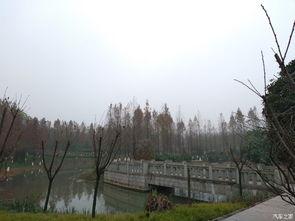 太和湿地公园吃瓜,夏日吃瓜好去处，尽享清凉时光