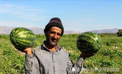 吃瓜伊朗,揭秘“吃瓜群众”眼中的中东热点