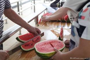 福建画室吃瓜,吃瓜群众眼中的艺术盛宴