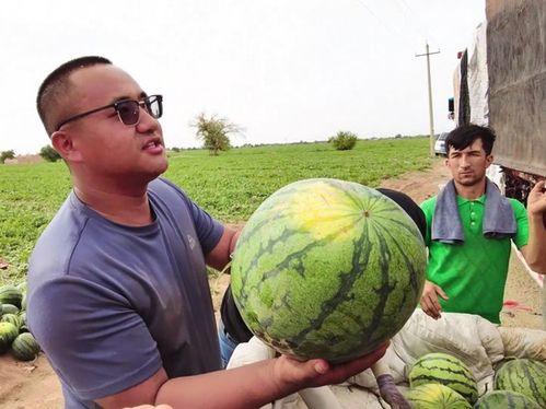 今日乌鲁木齐吃瓜总结,一场味蕾与文化的碰撞