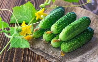 love吃瓜,LOVE吃瓜大事件，真相与谣言的较量