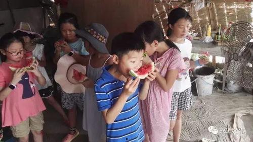 菲菲吃瓜群众,揭秘娱乐圈幕后故事